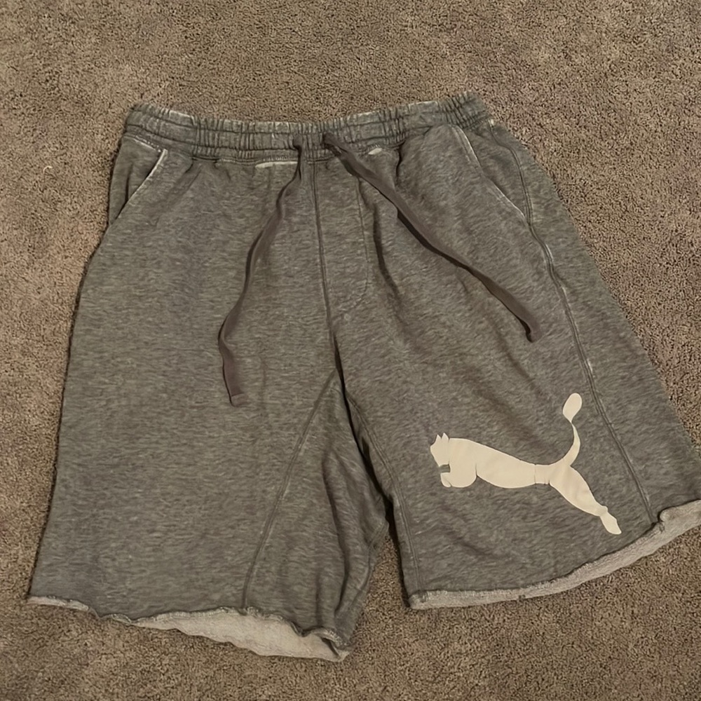 Puma Athletic Shorts